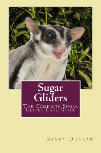 Sugar Gliders: The Complete Sugar Glider Care Guide